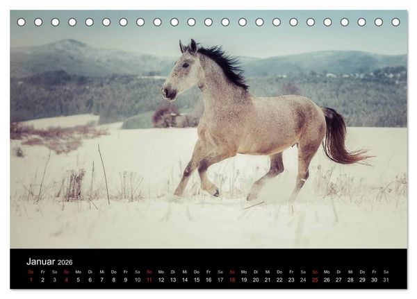 Produktbild: Pferde Tr&auml;ume (Tischkalender 2026 DIN A5 quer), CALVENDO Monatskalender