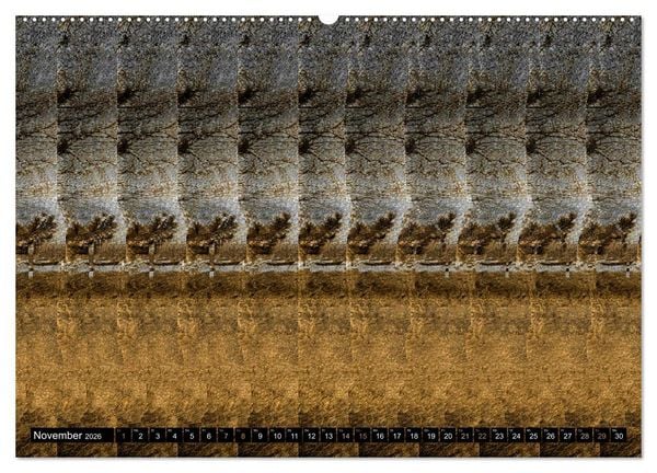 Produktbild: Magische Bilder - 3D Stereogramme (Wandkalender 2026 DIN A2 quer), CALVENDO Monatskalender