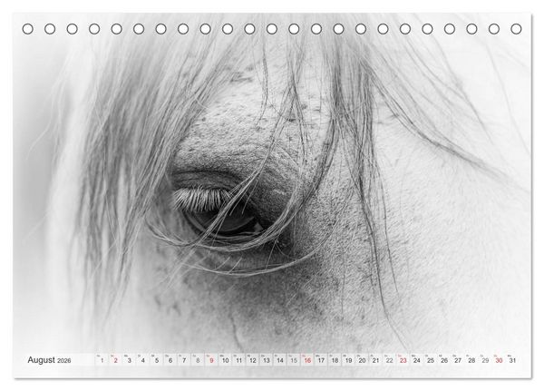 Produktbild: Emotionale Momente: Wei&szlig;e Pferde in schwarzwei&szlig;. (Tischkalender 2026 DIN A5 quer), CALVENDO Monatskalender