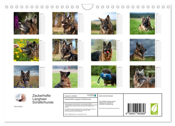 Produktbild: Zauberhafte Langhaar Sch&auml;ferhunde (Wandkalender 2026 DIN A4 quer), CALVENDO Monatskalender