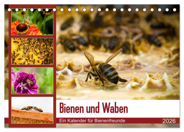 Produktbild: Bienen und Waben (Tischkalender 2026 DIN A5 quer), CALVENDO Monatskalender