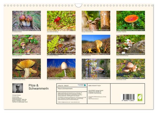 Produktbild: Pilze & Schwammerln (Wandkalender 2026 DIN A3 quer), CALVENDO Monatskalender