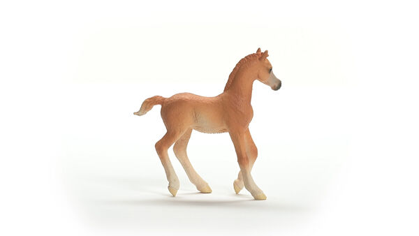 Produktbild: schleich&reg; 13984 Araber Fohlen