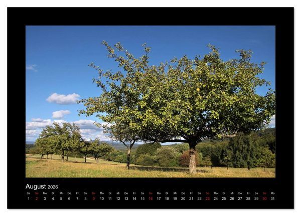 Produktbild: Taunus (Tischkalender 2026 DIN A5 quer), CALVENDO Monatskalender