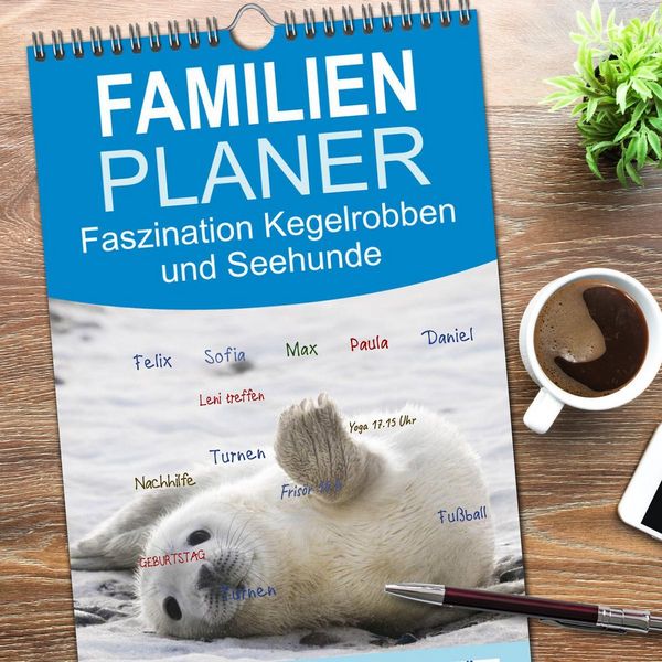 Produktbild: Familienplaner 2026 - Faszination Kegelrobben und Seehunde mit 5 Spalten (Wandkalender, 21 x 45 cm) CALVENDO