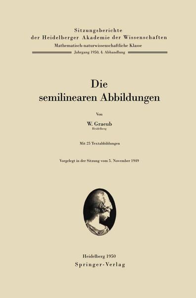 Produktbild: Die semilinearen Abbildungen