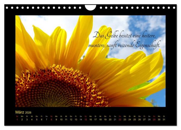 Produktbild: Goethes Gelb Gedanken zur Farbe (Wandkalender 2026 DIN A4 quer), CALVENDO Monatskalender