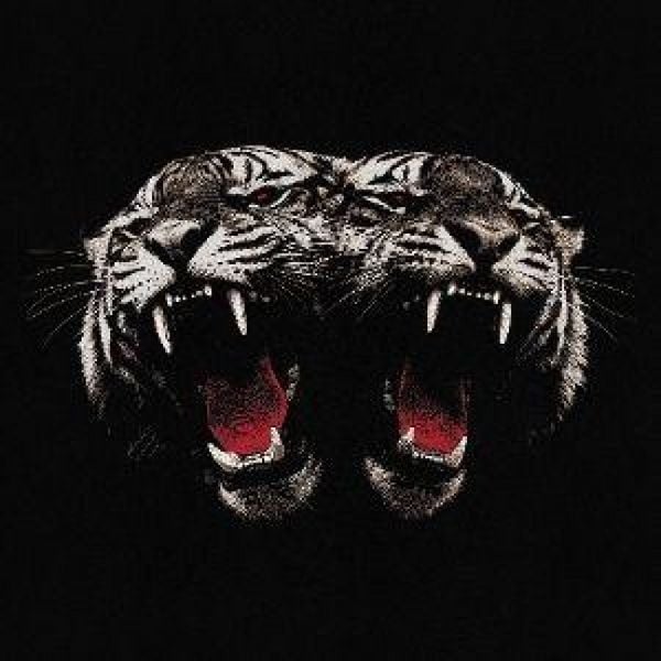 Produktbild: Dead Company