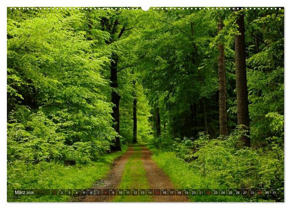 Produktbild: Feng Shui Farben - Element: Holz (hochwertiger Premium Wandkalender 2026 DIN A2 quer), Kunstdruck in Hochglanz