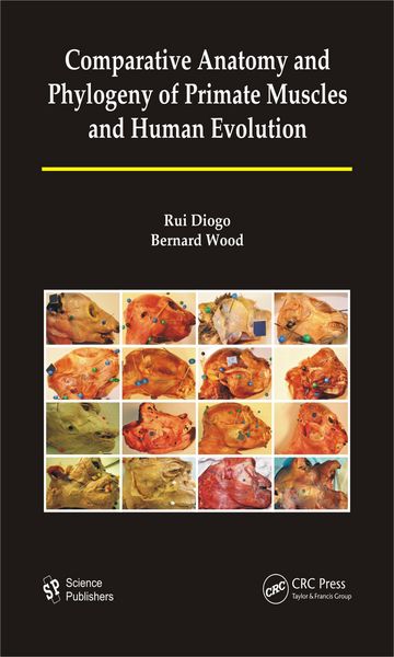Produktbild: Comparative Anatomy and Phylogeny of Primate Muscles and Human Evolution