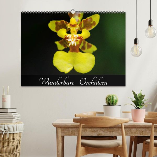 Produktbild: Wunderbare Orchideen (Wandkalender 2026 DIN A2 quer), CALVENDO Monatskalender