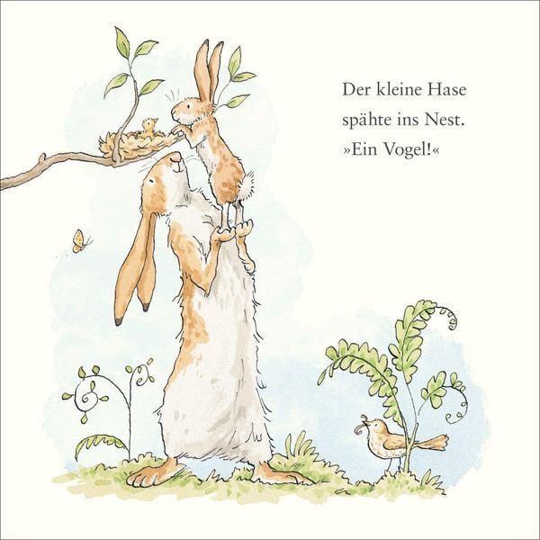 Produktbild: Wei&szlig;t du eigentlich, wie lieb ich dich hab? Kleiner Hase, das bist du!