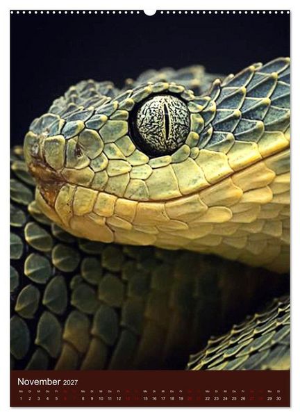 Produktbild: The Power Of Snake (Wandkalender 2027 DIN A2 hoch), CALVENDO Monatskalender