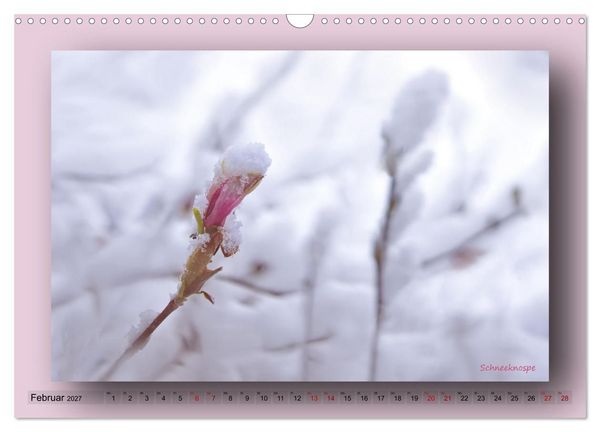 Produktbild: Foto-Art-Natur (Wandkalender 2027 DIN A3 quer), CALVENDO Monatskalender