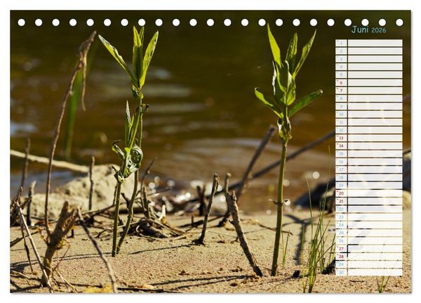 Produktbild: Zwischen Harz und Meer (Tischkalender 2026 DIN A5 quer), CALVENDO Monatskalender