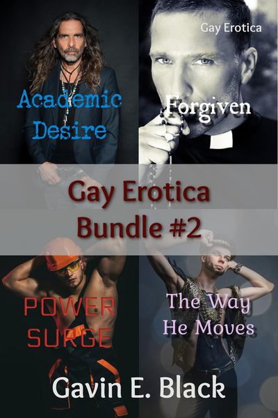 Produktbild: Gay Erotica Bundle #2
