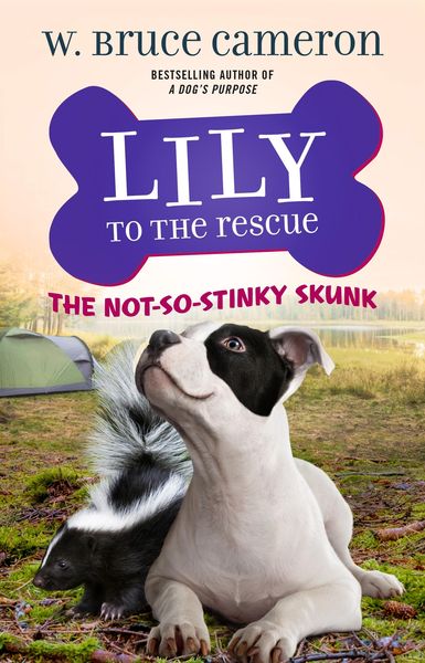 Produktbild: Lily to the Rescue: The Not-So-Stinky Skunk