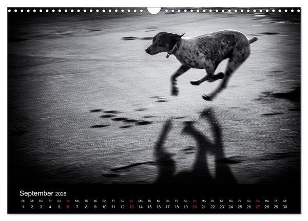 Produktbild: Das Licht in Schwarz und Wei&szlig; (Wandkalender 2026 DIN A3 quer), CALVENDO Monatskalender