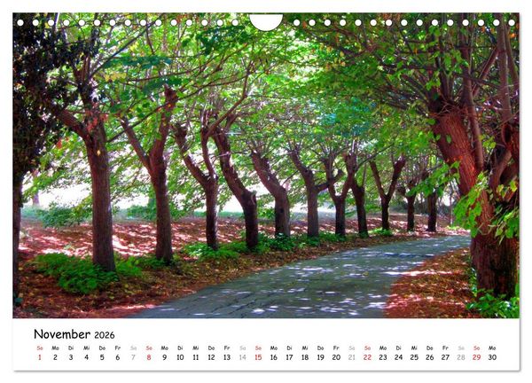 Produktbild: Franziskusweg - Camino di Assisi (Wandkalender 2026 DIN A4 quer), CALVENDO Monatskalender