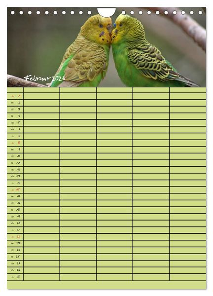 Produktbild: Der Wellensittich-Familienplaner (Wandkalender 2026 DIN A4 hoch), CALVENDO Monatskalender