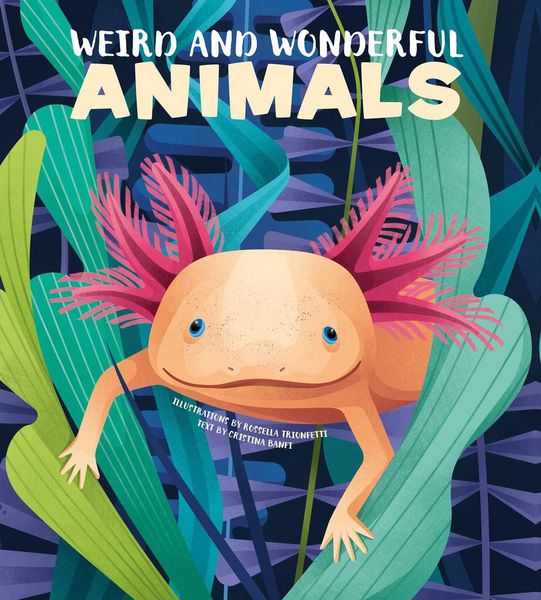 Produktbild: Weird and Wonderful Animals