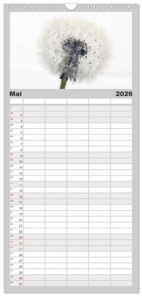 Produktbild: Familienplaner 2026 - Filigrane Pusteblumen / Geburtstagskalender mit 5 Spalten (Wandkalender, 21 x 45 cm) CALVENDO