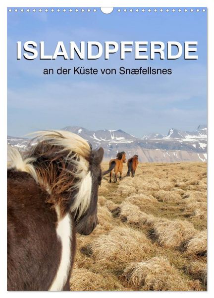 Produktbild: ISLANDPFERDE an der K&uuml;ste von Sn&aelig;fellsnes (Wandkalender 2026 DIN A3 hoch), CALVENDO Monatskalender