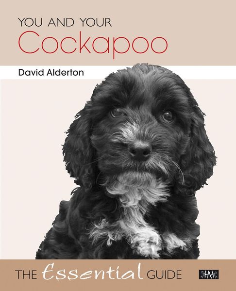 Produktbild: You and Your Cockapoo