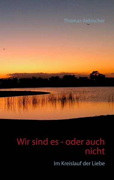 Wir sind es - oder auch nicht, Taschenbuch von Thomas Aebischer, BoD – Books on Demand, 9783746009568