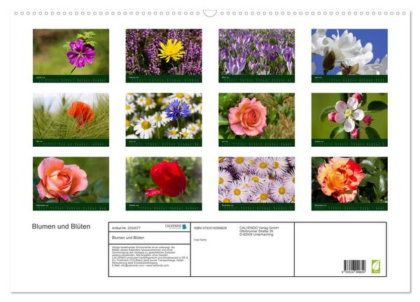 Produktbild: Blumen und Bl&uuml;ten (Wandkalender 2026 DIN A2 quer), CALVENDO Monatskalender