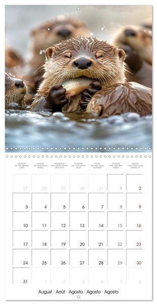 Produktbild: Cute Otter Moments (Wall Calendar 2026 12 &times; 12 Inch) CALVENDO 12 Month Wall Calendar