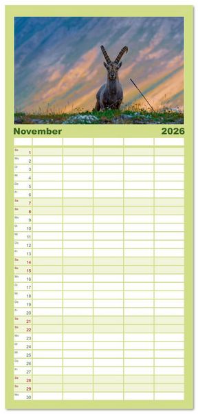 Produktbild: Familienplaner 2026 - Bergk&ouml;nige - Steinb&ouml;cke im Blickpunkt der Naturfotografie mit 5 Spalten (Wandkalender, 21 x 45 cm) CALVENDO