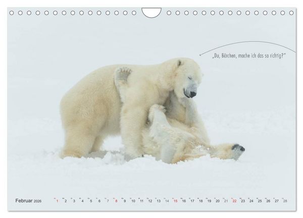 Produktbild: Emotionale Momente: Eisb&auml;ren - ganz menschlich gesehen. (Wandkalender 2026 DIN A4 quer), CALVENDO Monatskalender