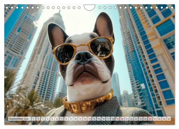 Produktbild: HUNDE-SELFIES Tierischer Outdoorspa&szlig; (Wandkalender 2026 DIN A4 quer), CALVENDO Monatskalender