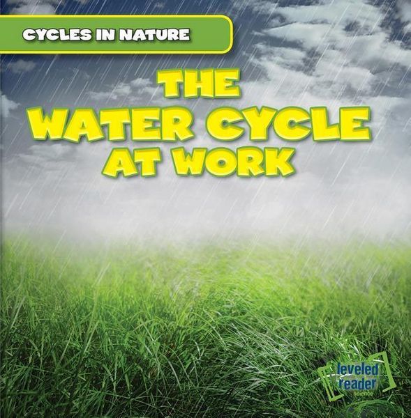 Produktbild: Pendergast, G: Water Cycle at Work