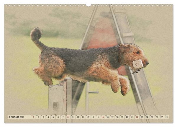 Produktbild: Airedale Terrier 2026 (hochwertiger Premium Wandkalender 2026 DIN A2 quer), Kunstdruck in Hochglanz