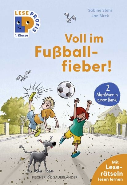 Leseprofis – Voll im Fußballfieber!, 1. Klasse (Doppelband), Gebundene Ausgabe von Sabine Stehr, Fischer Sauerländer, 978-3-7373-7460-6