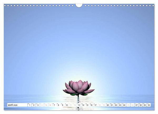 Produktbild: LOTUS M&Eacute;DITATIFS (Calendrier mural 2026 DIN A3 vertical), CALVENDO calendrier mensuel