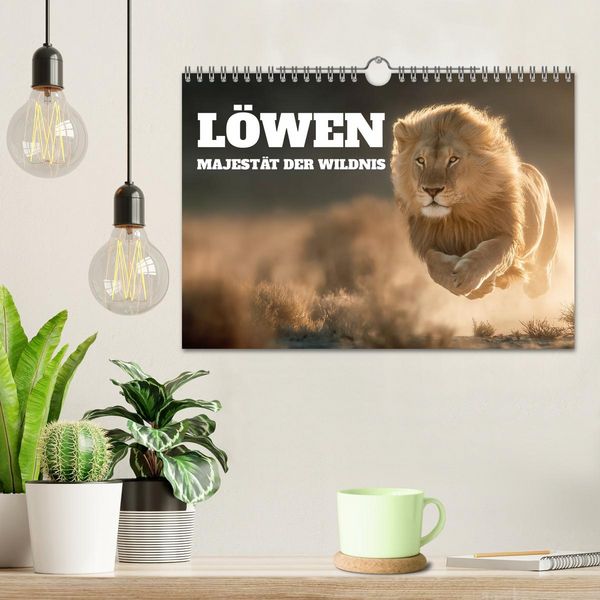 Produktbild: L&ouml;wen - Majest&auml;t der Wildnis (Wandkalender 2026 DIN A4 quer), CALVENDO Monatskalender