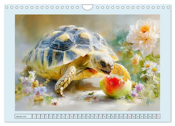 Produktbild: Schildkr&ouml;ten. Gut gepanzert und niemals in Eile (Wandkalender 2027 DIN A4 quer), CALVENDO Monatskalender