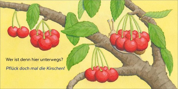 Produktbild: Wer hat sich denn hier versteckt?