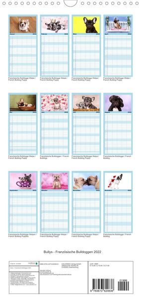 Produktbild: Bullys - Franz&ouml;sische Bulldoggen 2022 - Familienplaner hoch (Wandkalender 2022 , 21 cm x 45 cm, hoch)
