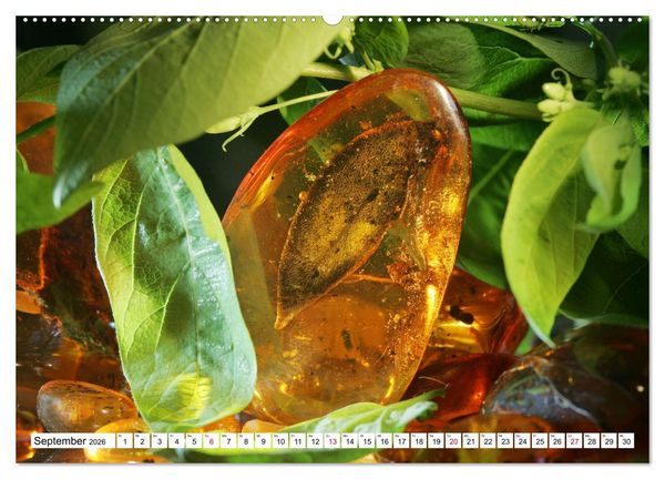 Produktbild: Versteinerte Welt (hochwertiger Premium Wandkalender 2026 DIN A2 quer), Kunstdruck in Hochglanz