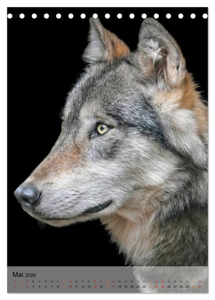 Produktbild: Tiere - K&ouml;pfe mit Charakter (Tischkalender 2026 DIN A5 hoch), CALVENDO Monatskalender