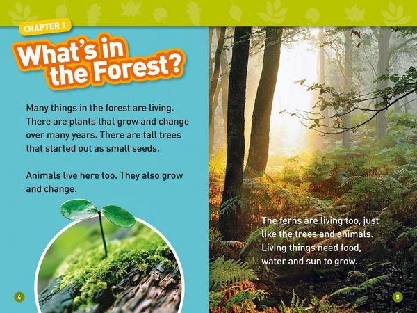Produktbild: In the Forest