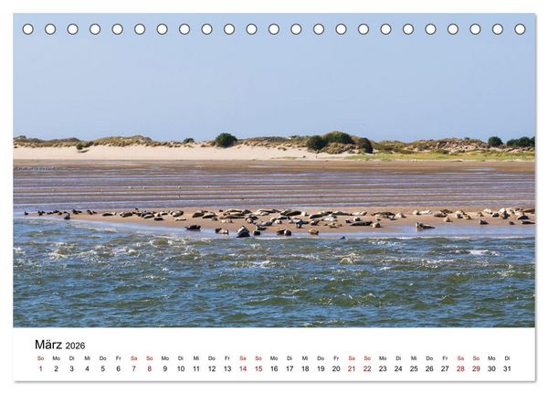 Produktbild: Ostfriesland - Ein Jahr in Bildern (Tischkalender 2026 DIN A5 quer), CALVENDO Monatskalender