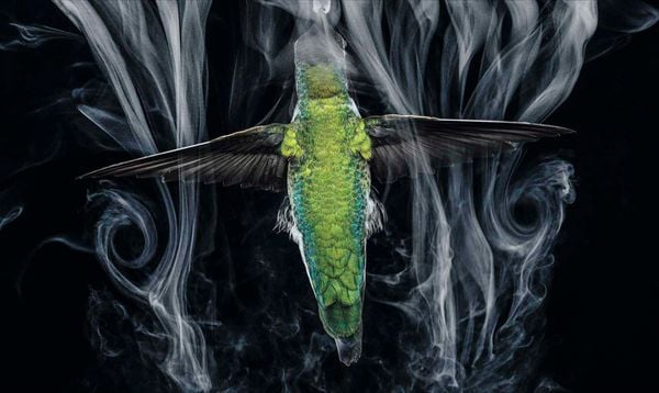 Produktbild: National Geographic Verborgene Welten &ndash; Einzigartige Fotografien