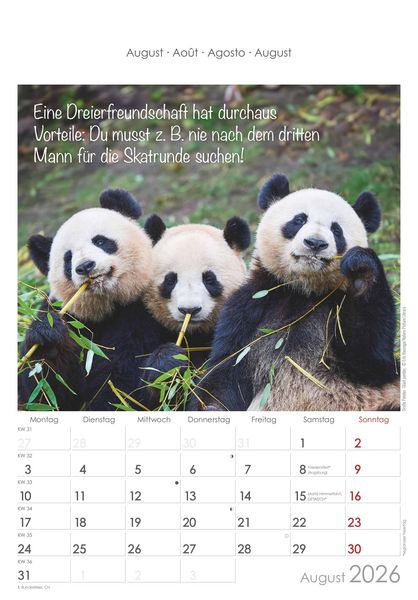 Produktbild: Kleine Freunde 2026 - Bildkalender 23,7x34 cm - Kalender mit Platz für Notizen - mit vielen Zusatzinformationen - Wandkalender - Alpha Edition