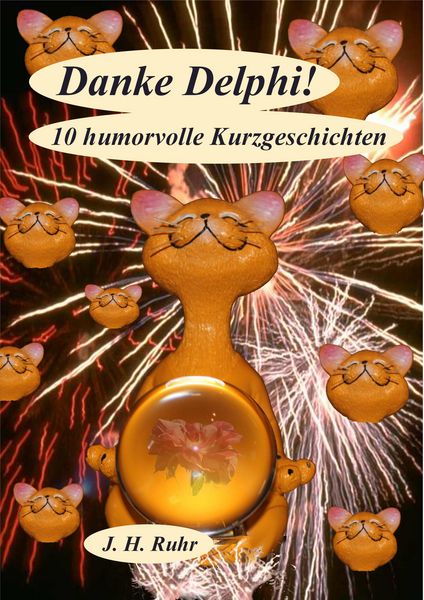 Produktbild: Danke Delphi!