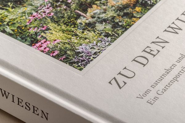 Produktbild: Zu den Wiesen